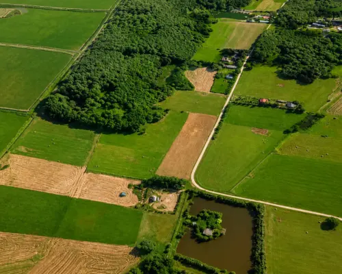 Działka rolno-budowlana 2,5 ha. Nowosiółki