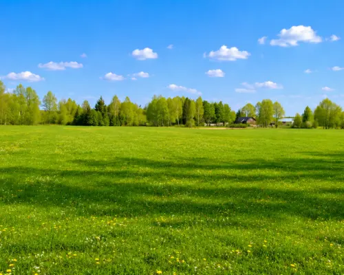 Działka rolno-budowlana 2,5 ha. Nowosiółki