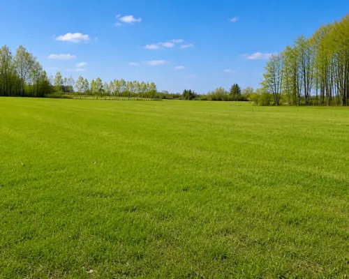Działka rolno-budowlana 2,5 ha. Nowosiółki