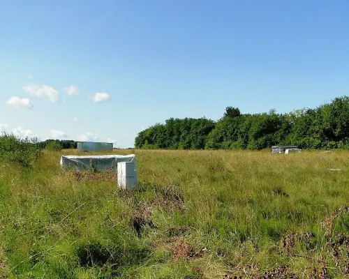 Działka 1458 m2 w Henrykowie