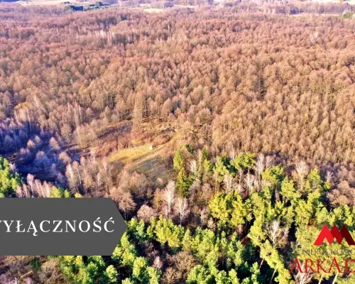 Działka leśna/Wistka Królewska