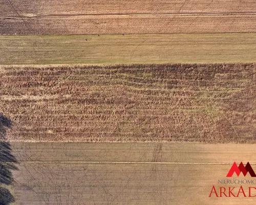 Działki Swiątkowice , Gmina Baruchowo 1000 m2