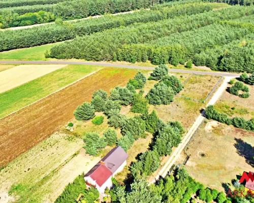 2 działki na sprzedaż - Okna,Baruchowo