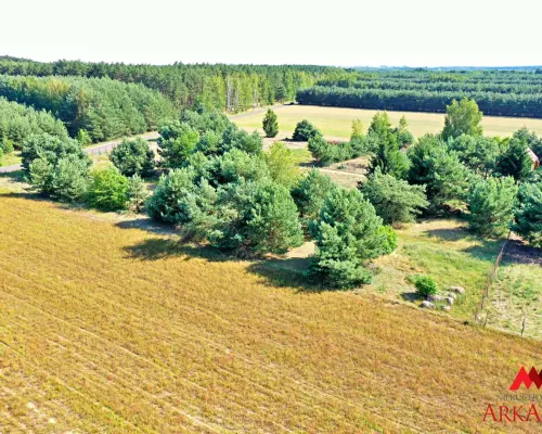 2 działki na sprzedaż - Okna,Baruchowo