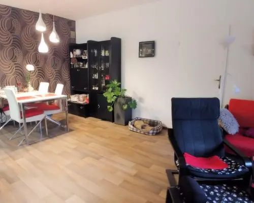 Julianów - 2 domy (350 m2 i 300 m2)