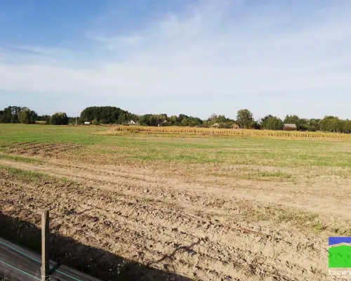 Karsznice - grunt inwestycyjny o pow. 7,5 ha