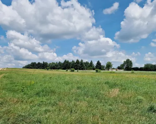 Widzew - działka budowlana z PnB o pow. 3000 m2