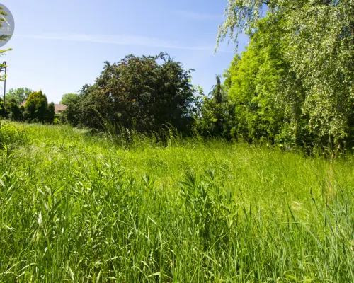Mieszkanie z dużym ogrodem i garażem