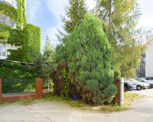 Kamienica w Centrum na sprzedaż