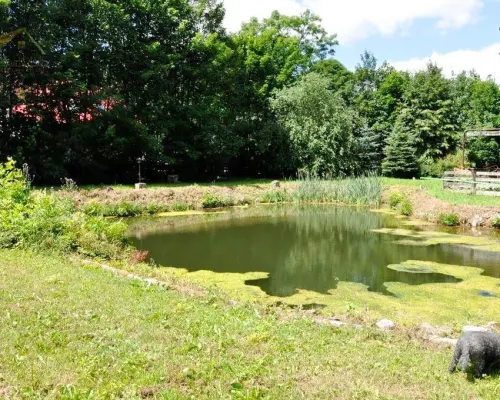 Agroturystyka na sprzedaż