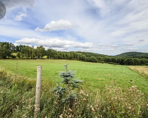 MICHAŁKOWA | GÓRY, CISZA, SPOKÓJ, PIĘKNE TERENY
