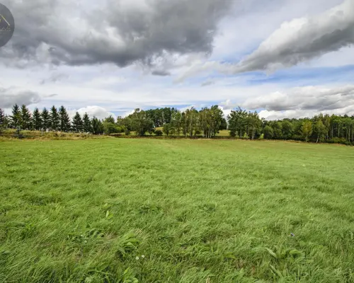 MICHAŁKOWA | GÓRY, CISZA, SPOKÓJ, PIĘKNE TERENY