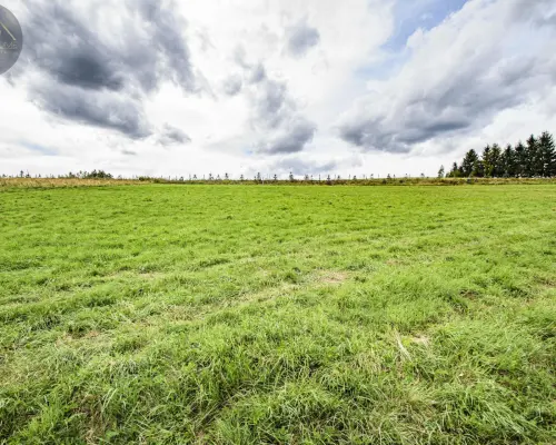 MICHAŁKOWA | GÓRY, CISZA, SPOKÓJ, PIĘKNE TERENY
