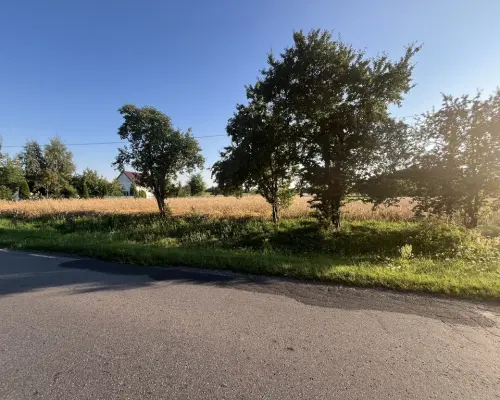 Dwie działki rolne z WZ w Helenowie gm. Policzna.