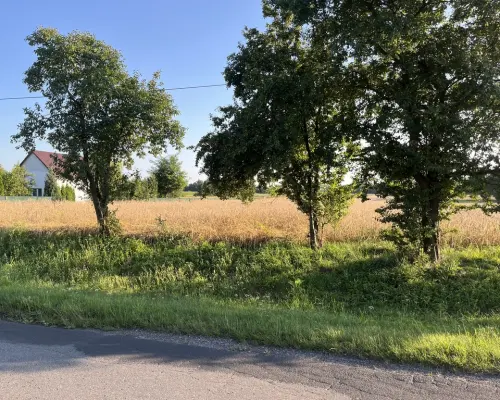 Dwie działki rolne z WZ w Helenowie gm. Policzna.