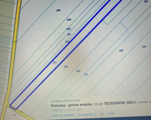 Dwie działki rolne z WZ w Helenowie gm. Policzna.