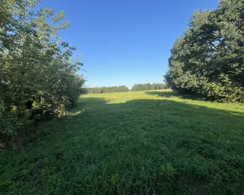 Duża działka 2,9 ha w Jabłonowie gm. Policzna.