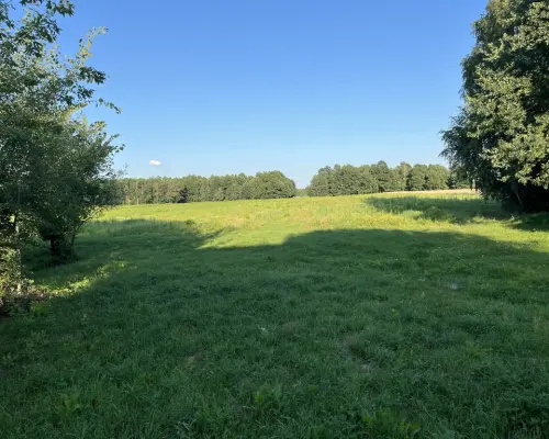Duża działka 2,9 ha w Jabłonowie gm. Policzna.