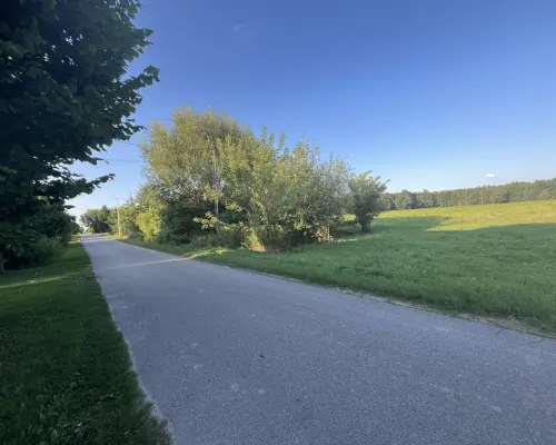 Duża działka 2,9 ha w Jabłonowie gm. Policzna.