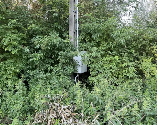 Duża działka 2,9 ha w Jabłonowie gm. Policzna.