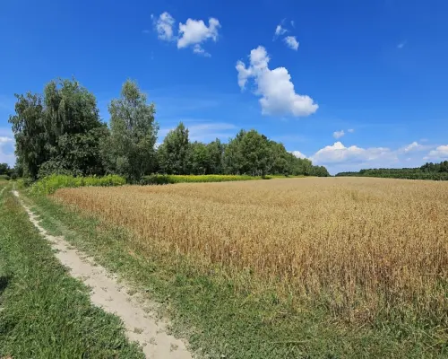 Karczmiska Drugie - ponad 33ar działki rolnej