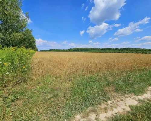 Karczmiska Drugie - ponad 33ar działki rolnej