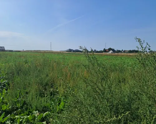 Uzbrojona działka. Gm. Puchaczów