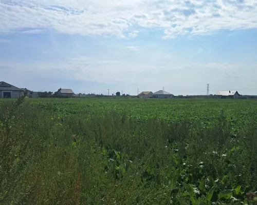 Uzbrojona działka. Gm. Puchaczów