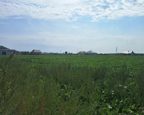 Działka budowalna 16a - Gm. Puchaczów - Turowola.