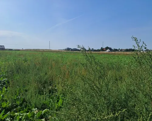 Działka budowalna 16a - Gm. Puchaczów - Turowola.