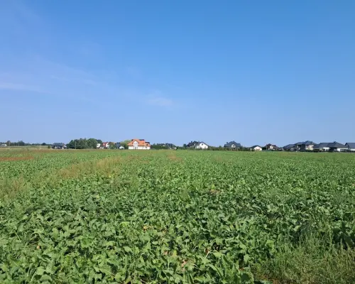 Działka budowalna 16a - Gm. Puchaczów - Turowola.