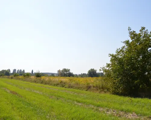 Działka Lublin-Zadębie inwestycyjna/budowlana