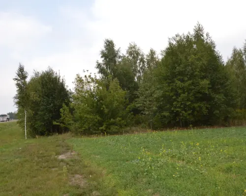 Działka 1.77 ha w Brzeźnicy Leśnej pow. Lubartów.