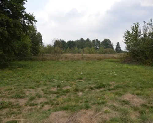 Działka 1.77 ha w Brzeźnicy Leśnej pow. Lubartów.