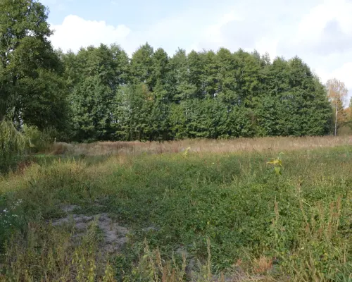 Piękna działka w Parku Krajobrazowym