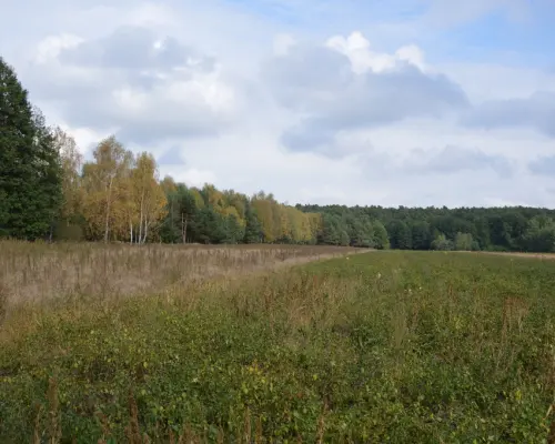 Piękna działka w Parku Krajobrazowym