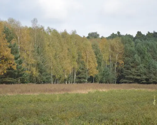 Piękna działka w Parku Krajobrazowym
