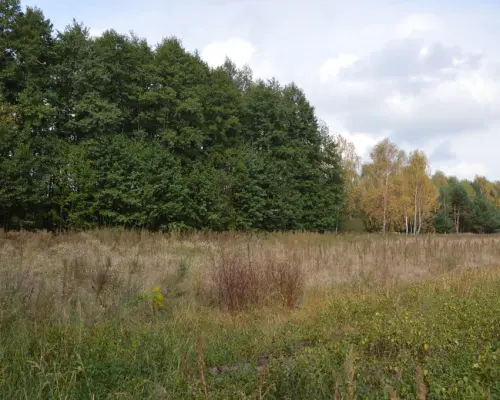 Działka, Klarów, 1,09 ha