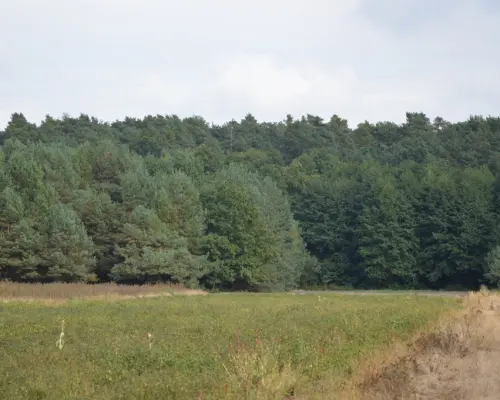 Działka, Klarów, 1,09 ha