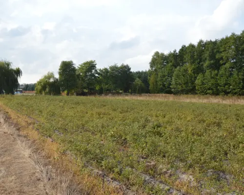 Działka, Klarów, 1,09 ha