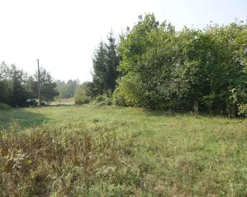 Działka 16 ar w miejsc. Gołąb pow. Lubartowski