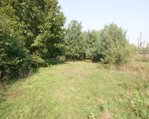 Działka 16 ar w miejsc. Gołąb pow. Lubartowski