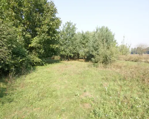 Działka 16 ar w miejsc. Gołąb pow. Lubartowski