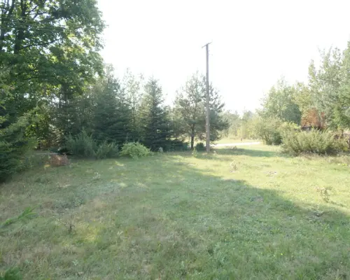 Działka 16 ar w miejsc. Gołąb pow. Lubartowski