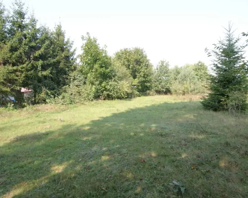 Działka 16 ar w miejsc. Gołąb pow. Lubartowski