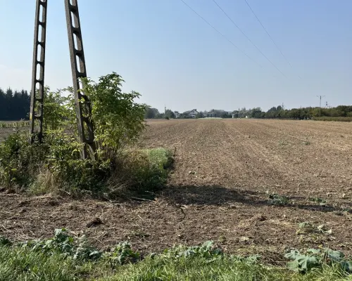 Działka rolno-budowlana 0,62 ha w Gołębiu k/Puław.