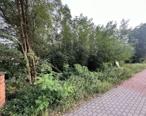 Działka budowlana Wola Chodkowska gm. Kozienice...