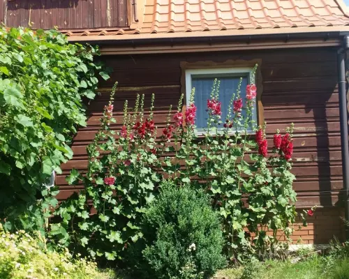 Dom w Nowym Franciszkowie gm. Opole Lubelskie.