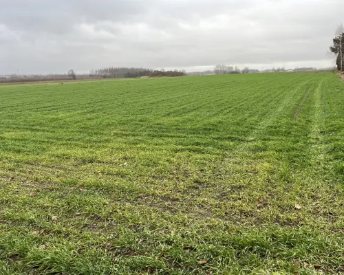 Działka budowlana gm. Przyłęk mazowieckie