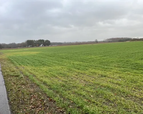 Działka budowlana gm. Przyłęk mazowieckie